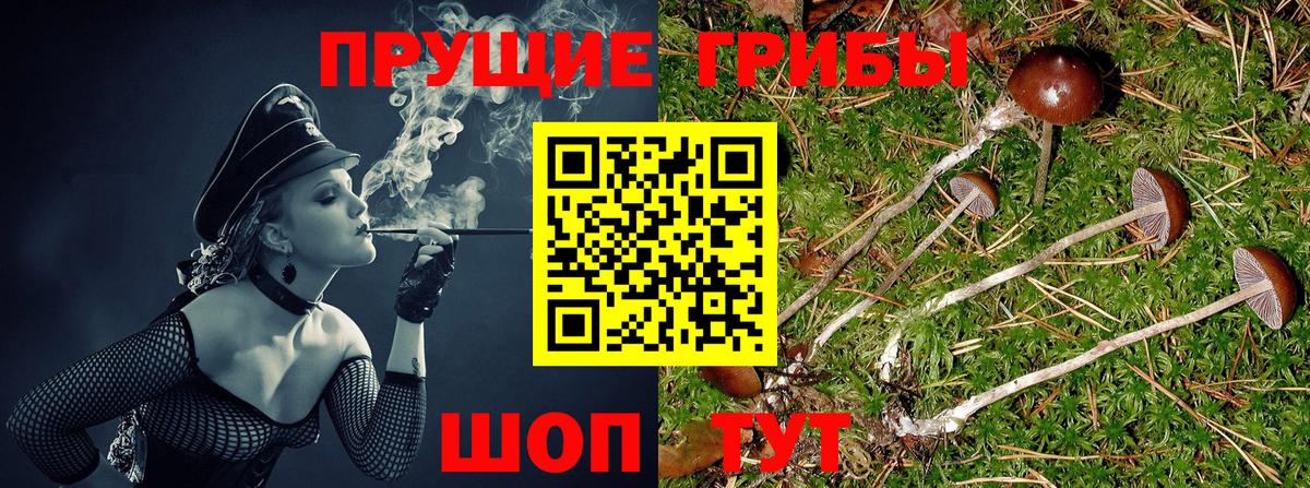 Амурск  Псилоцибиновые грибы мухоморы  Вход с VPN 