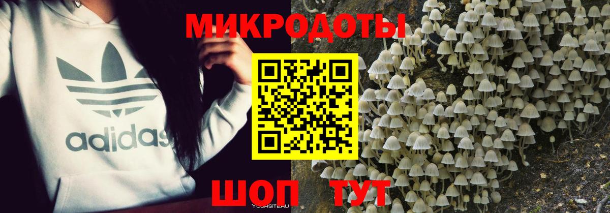 Галлюциногенные грибы ЛСД Амурск